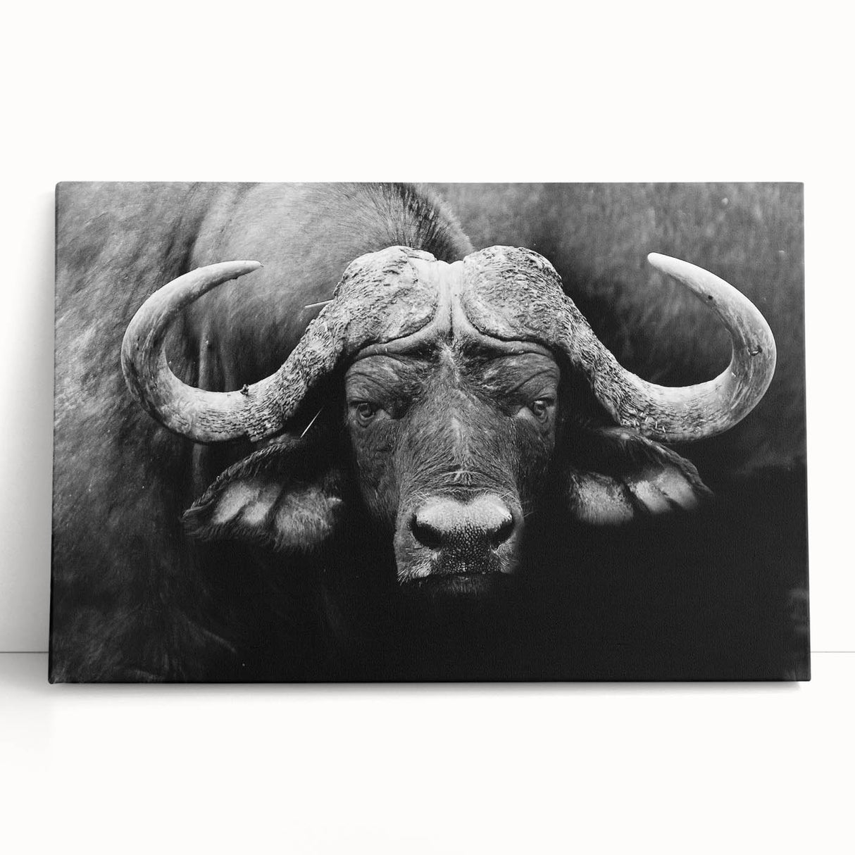 Colorful animal-themed wall art canvas print showcasing vibrant wildlife illustrations, perfect for enhancing home decor. Features detailed textures and bold colors.
