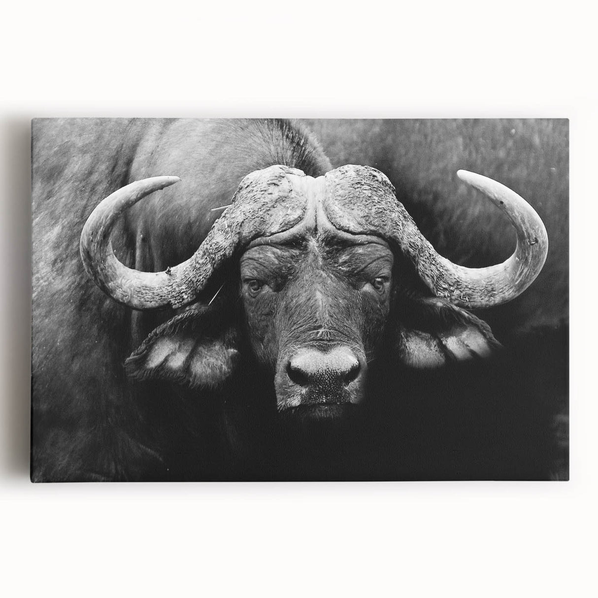 Vibrant African-inspired wall art canvas showcasing intricate animal motifs in bold colors, rolled and securely packaged in a protective cardboard tube.