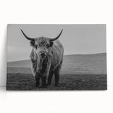 Colorful animal-themed canvas artwork featuring a vibrant depiction of a lion in a jungle setting, rolled and ready for display, enhancing home decor.