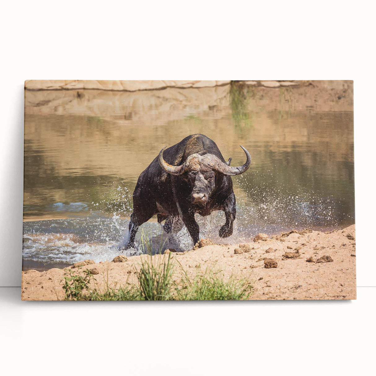 Vibrant animal-themed wall art canvas featuring a colorful depiction of wildlife, showcasing intricate details and textures, ideal for home decor.
