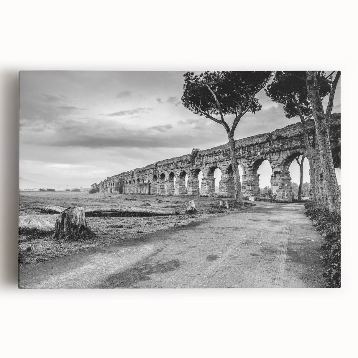 Large black and white acrylic print of an architectural skyline, ideal for kitchen wall art or bedroom decor.