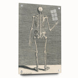 Vintage Gothic Skeleton Print - Classic Anatomical Gothic Wall Art