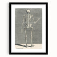 Vintage Gothic Skeleton Print - Classic Anatomical Gothic Wall Art