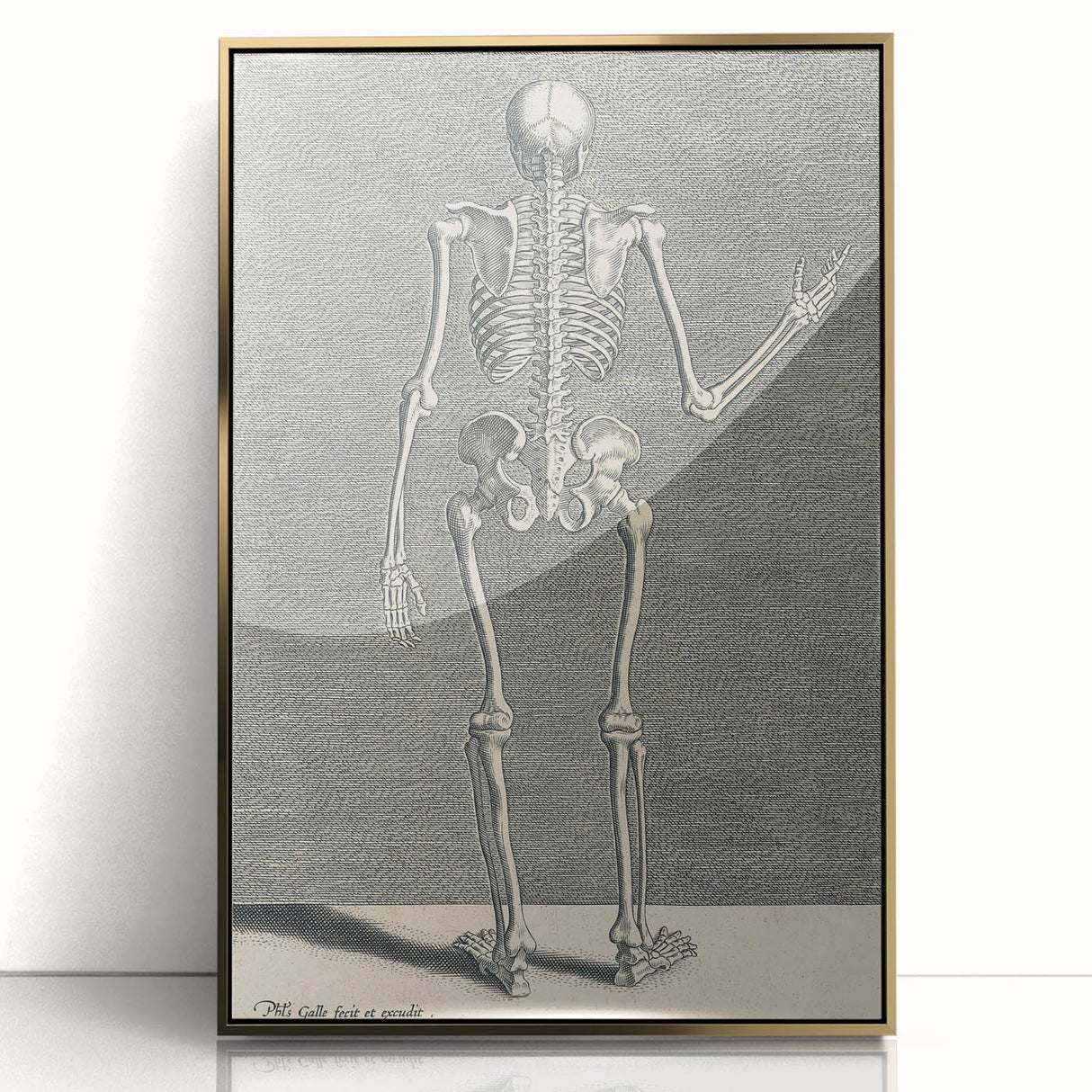 Vintage Gothic Skeleton Print - Classic Anatomical Gothic Wall Art