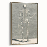 Vintage Gothic Skeleton Print - Classic Anatomical Gothic Wall Art