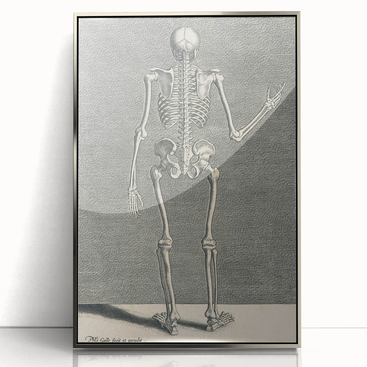 Vintage Gothic Skeleton Print - Classic Anatomical Gothic Wall Art