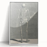 Vintage Gothic Skeleton Print - Classic Anatomical Gothic Wall Art