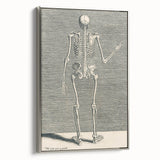 Vintage Gothic Skeleton Print - Classic Anatomical Gothic Wall Art