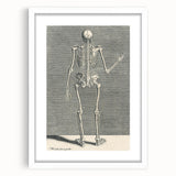 Vintage Gothic Skeleton Print - Classic Anatomical Gothic Wall Art