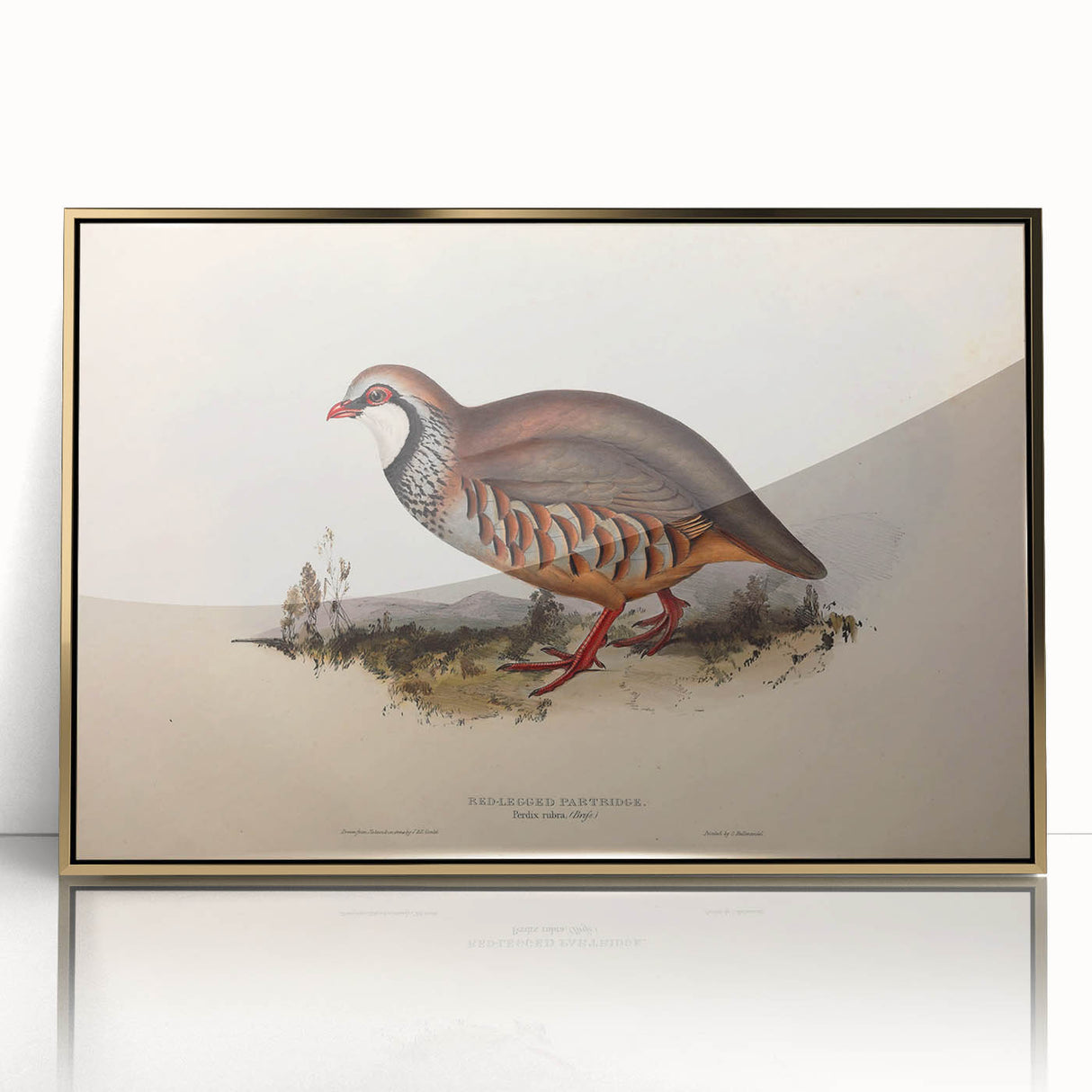 Framed acrylic artwork showcasing an elegant gold abstract design, displayed from the front to highlight its glossy finish and modern aesthetic, perfect for contemporary home decor.
