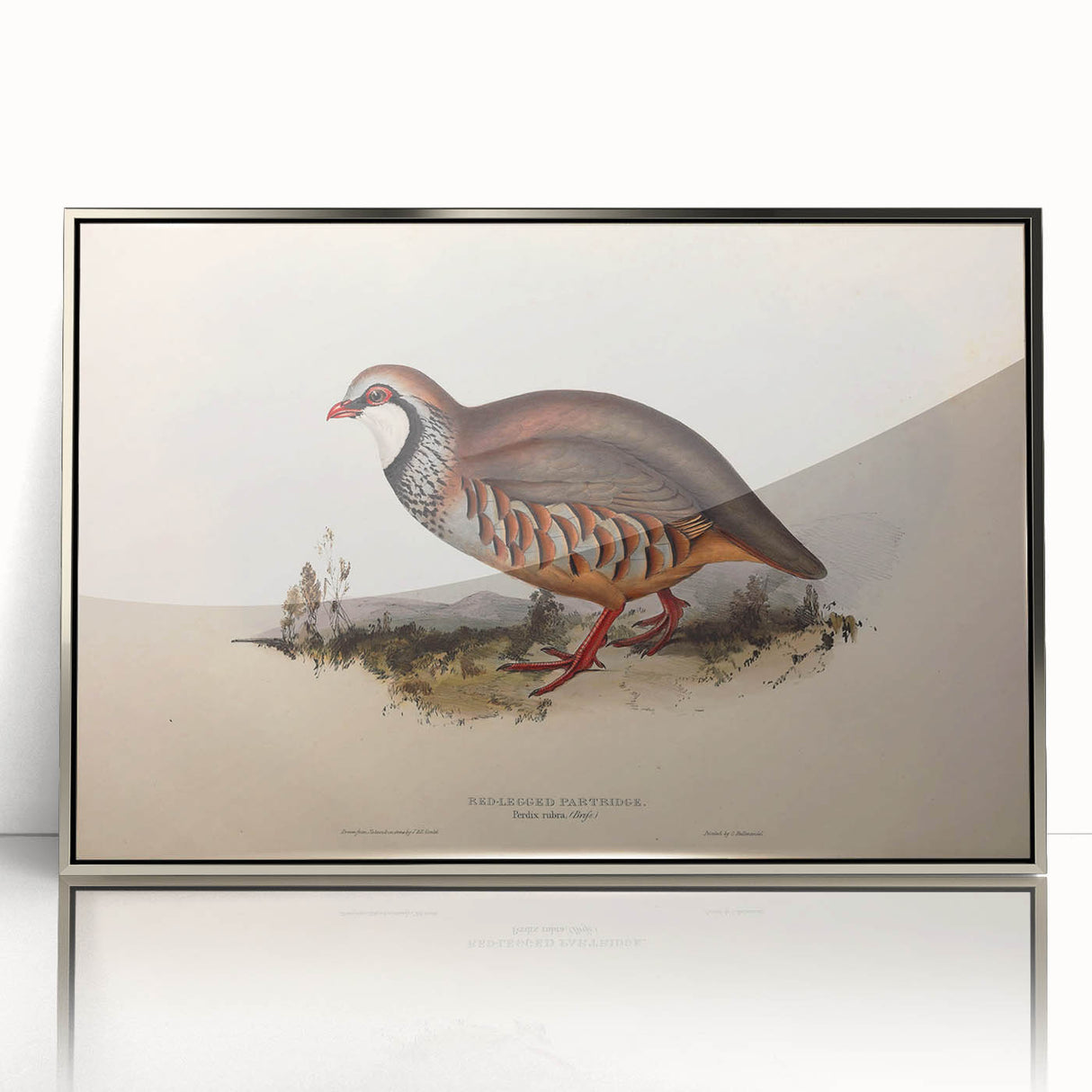 Framed acrylic artwork showcasing a striking silver design, displayed from the front view to highlight its glossy finish and modern aesthetic, perfect for contemporary decor.