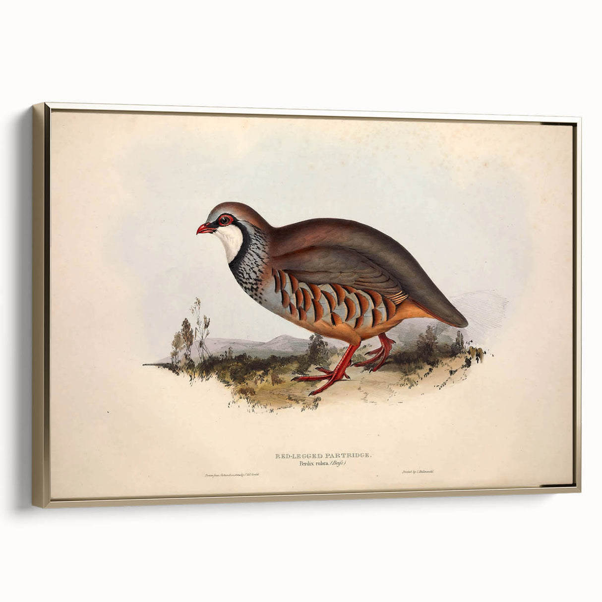 Framed canvas print showcasing an elegant gold side view with intricate detailing, ideal for home decor, featuring a modern artistic design that enhances any room's aesthetic. Perfect for art enthusiasts seeking stylish wall art.