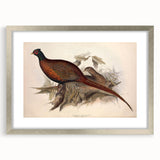 Silver picture frame with a white mat, showcasing an elegant front view display, ideal for home decor or gallery use, highlighting its sleek design and modern aesthetics.