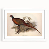 White frame with a mat showcasing a vibrant abstract art piece, positioned on a neutral background, ideal for home decor or art display inspiration.