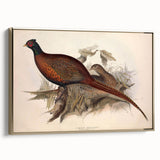 Framed canvas artwork showcasing a vibrant abstract design with gold accents, angled for a side view display, perfect for home decor or modern art enthusiasts.