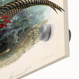 Close-up of a vibrant acrylic glass piece showcasing intricate patterns and rich colors, illuminated to highlight its glossy finish and unique texture, ideal for modern art displays.