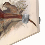 Close-up of a vibrant acrylic glass piece showcasing intricate patterns and reflections, highlighting the clear texture and brilliance of the material, perfect for modern decor.