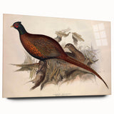 Acrylic glass panel displayed from a side view, showcasing its clarity and smooth edges, ideal for modern decor or framing artwork, with no visible pins.