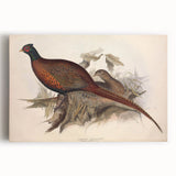 Stretched canvas print showcasing vibrant abstract art with bold colors and dynamic shapes, elegantly framed for display in modern home decor.