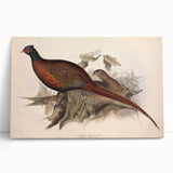 Textured stretched canvas artwork featuring vibrant African tribal designs in earthy tones, leaning against a modern wall, ideal for home decor enthusiasts.