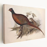 Stretched canvas print showcasing vibrant African tribal art with intricate designs, viewed from the side to highlight its depth and texture against a neutral background.