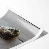 Extra large wall art featuring line art flowers in black on a white background, ideal for large living room decor.