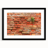 Extra large abstract art print on canvas featuring vibrant, textured swirls of multicolor, ideal for living room decor.