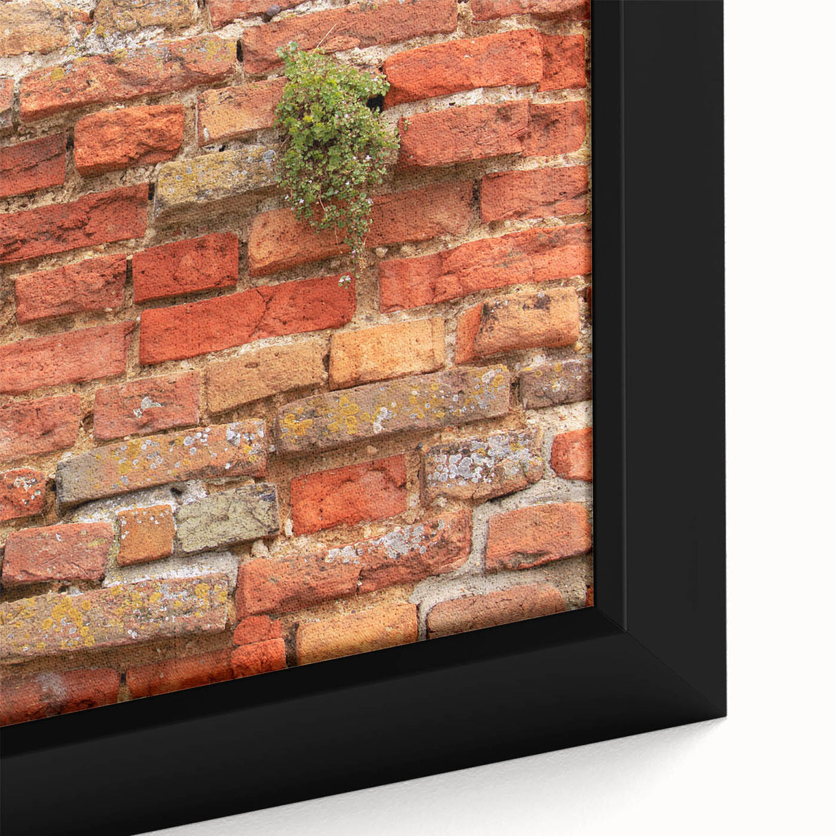 Extra large framed canvas featuring textured, colorful art with black background, ideal for living room decor.