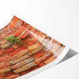 Extra large wall art featuring black and white line art flowers on rolled canvas, suitable for large living room decor.