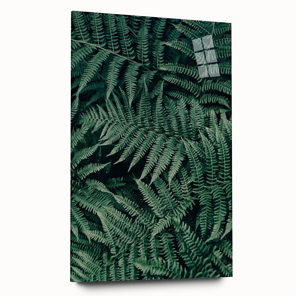 Transparent acrylic glass side view showcasing a sleek and modern design, highlighting its clarity and polished edges, perfect for framing artwork or photographs.