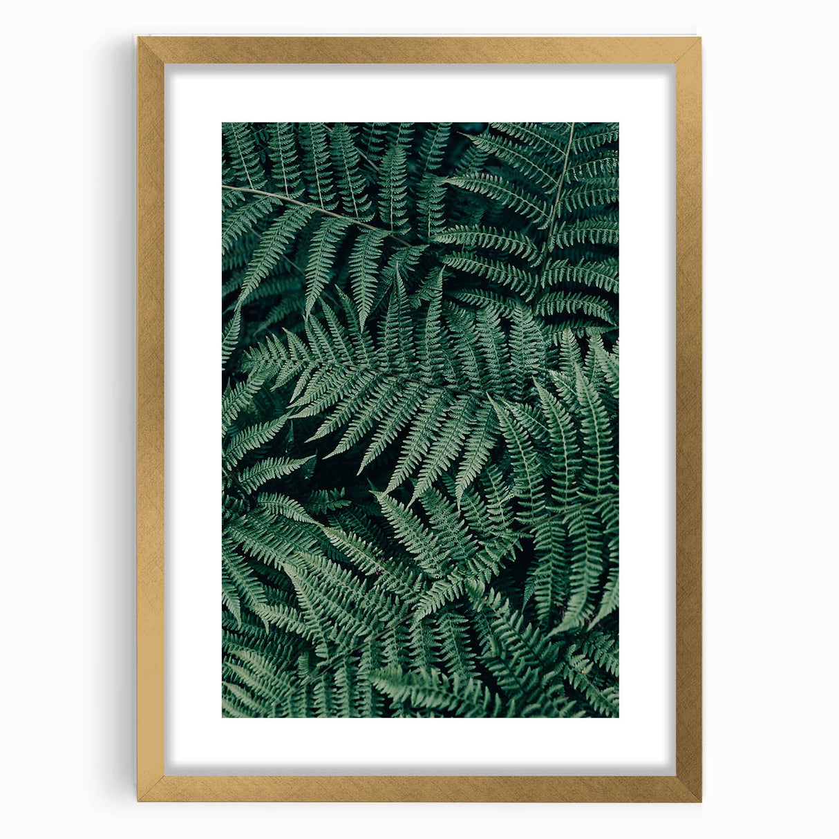 Elegant gold frame with a white mat, showcasing a vibrant nature-themed artwork. The front view highlights the intricate details and luxurious finish, perfect for home decor. Ideal for adding a touch of sophistication to any room.