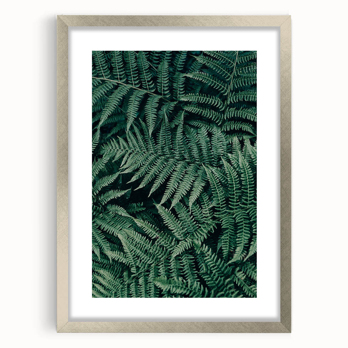 Silver-framed photo display featuring a mat for added depth, showcasing a front view of an elegant artwork, ideal for home decor or gallery presentation.