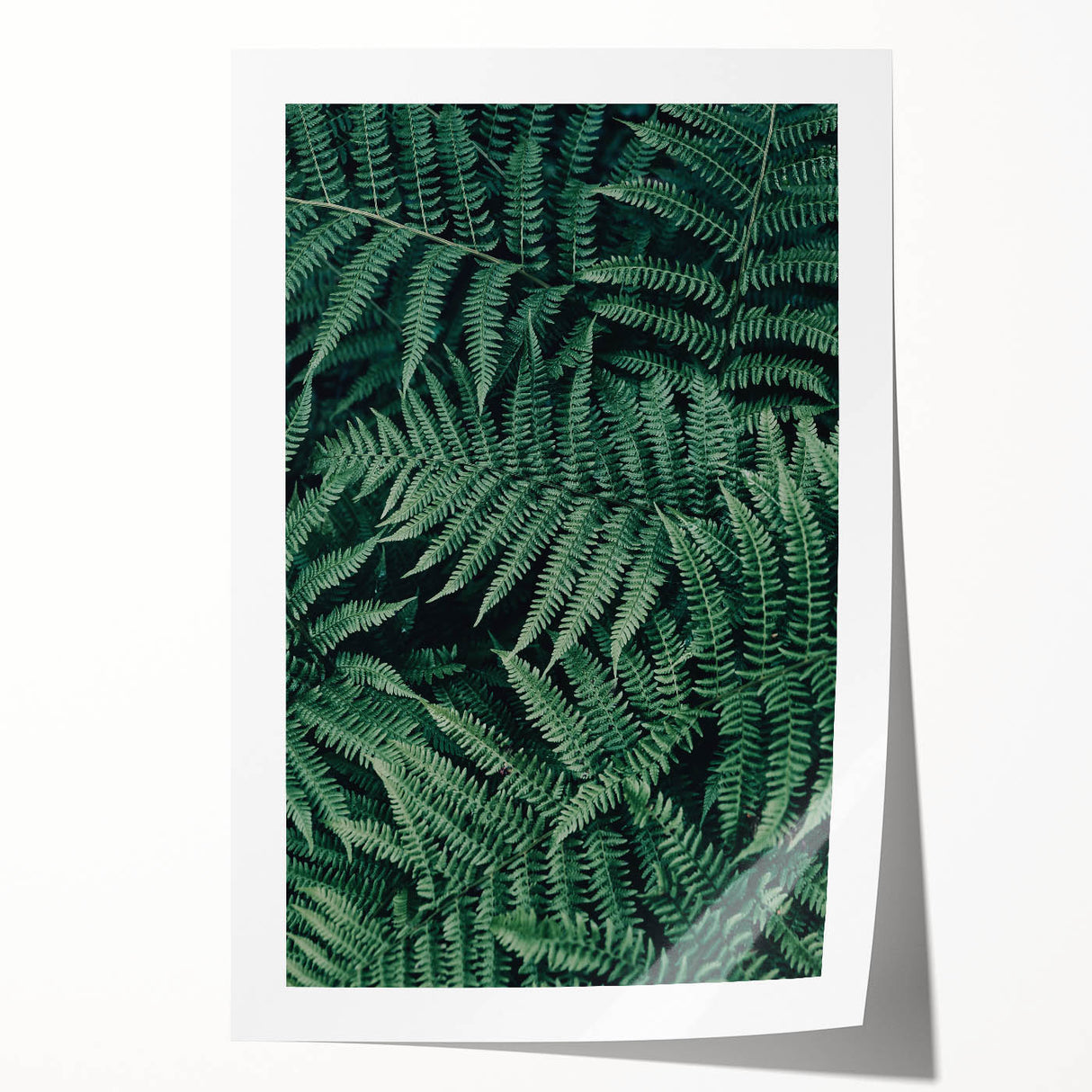 Rolled canvas print showcasing vibrant African tribal art, featuring intricate patterns and bold colors, securely packaged in a protective cardboard tube for shipping.