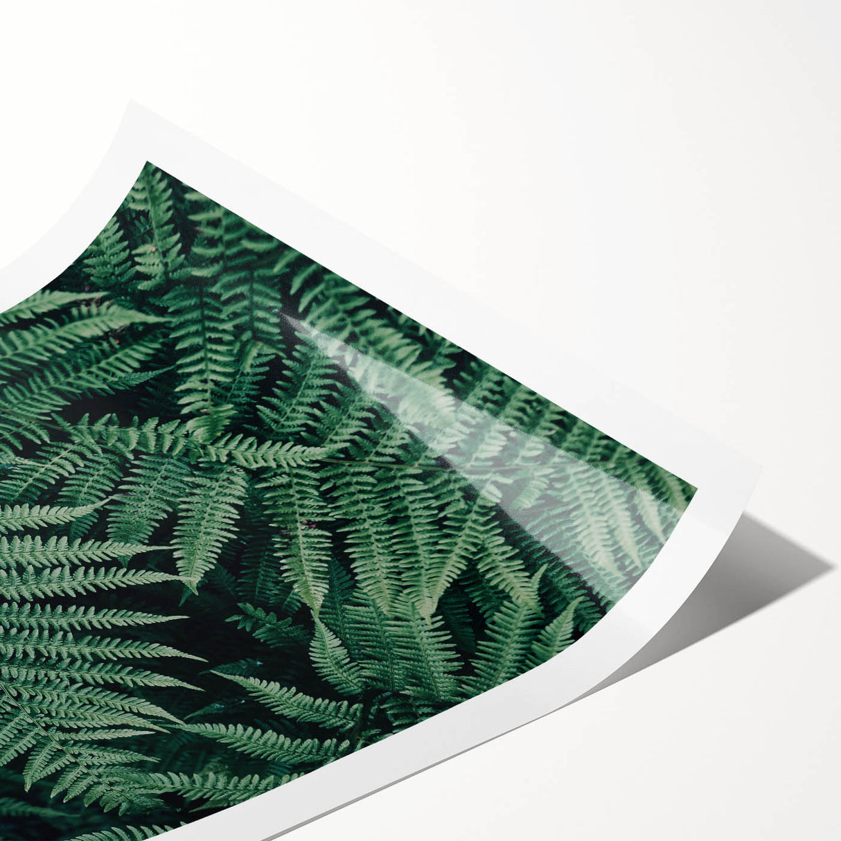 Rolled canvas print showcasing vibrant African tribal wall art with intricate detailing, securely packaged in a protective cardboard tube for safe delivery.