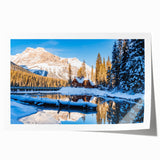 Extra large rolled canvas featuring a floral design in pastel shades, ideal for art wall dining room decor.