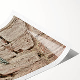 Extra large wall art featuring black and white line art flowers on a rolled canvas, suitable for large living room decor.