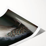 Rolled canvas print showcasing vibrant African tribal wall art, featuring intricate patterns and bold colors, securely packaged in a protective cardboard tube for delivery.