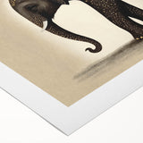 Rolled canvas showcasing vibrant African tribal wall art, featuring intricate patterns and rich colors, securely packaged in a durable cardboard tube for safe shipping.