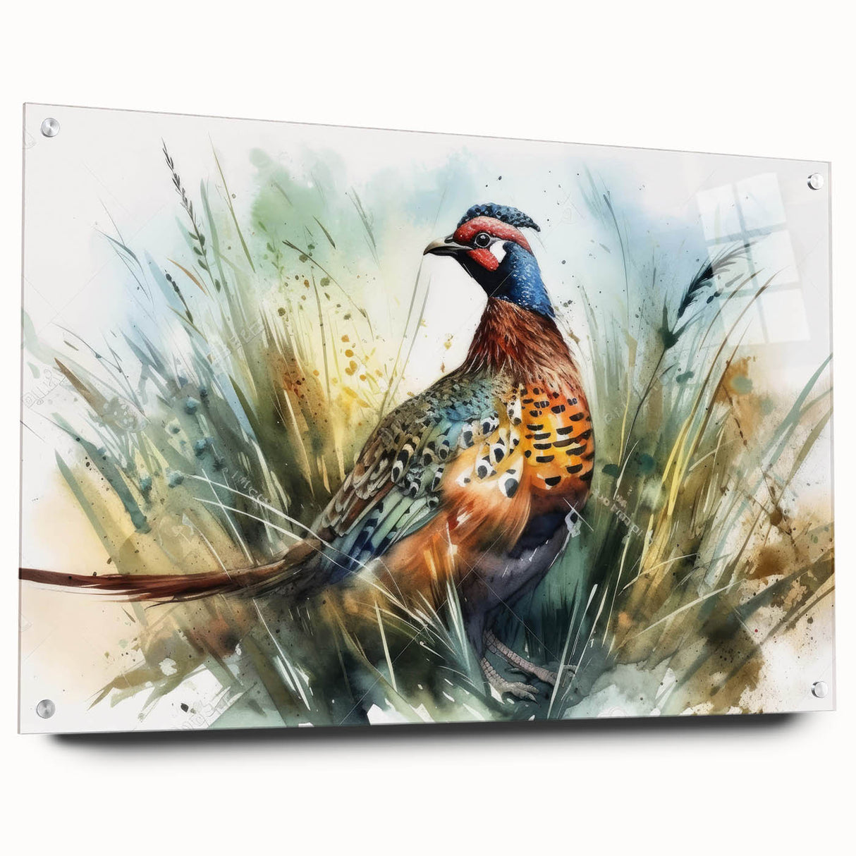 Acrylic glass side view showcasing a sleek, modern design with metal pins, perfect for contemporary decor or framing artwork, emphasizing clarity and elegance.