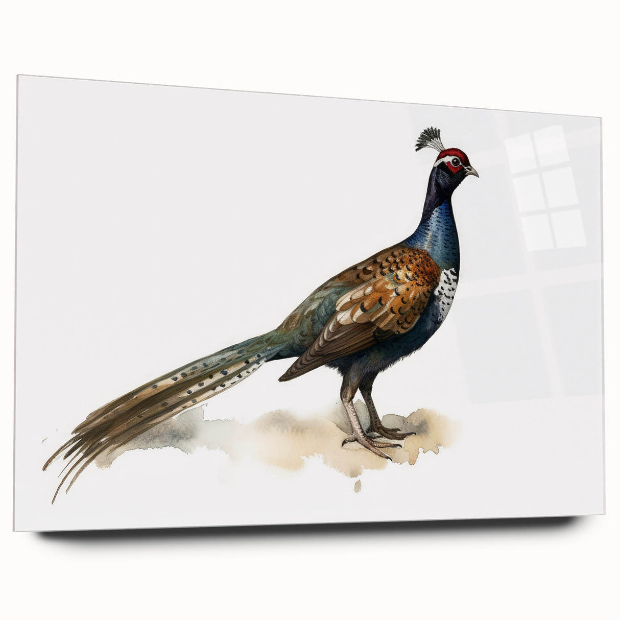 Acrylic glass side view without pins, showcasing a sleek, modern design ideal for home decor or office displays, emphasizing clarity and elegance.