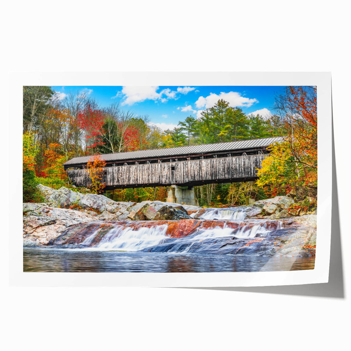 Extra large rolled canvas print of vibrant multicolored floral art, ideal for art wall dining room or bathroom.