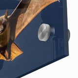 Close-up of a vibrant acrylic glass panel reflecting light, showcasing intricate details and a glossy finish, ideal for modern decor or art displays.