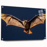 Acrylic glass sheet viewed from the side, showcasing a sleek, clear finish with metal pins for mounting, ideal for modern interior decor and art displays.