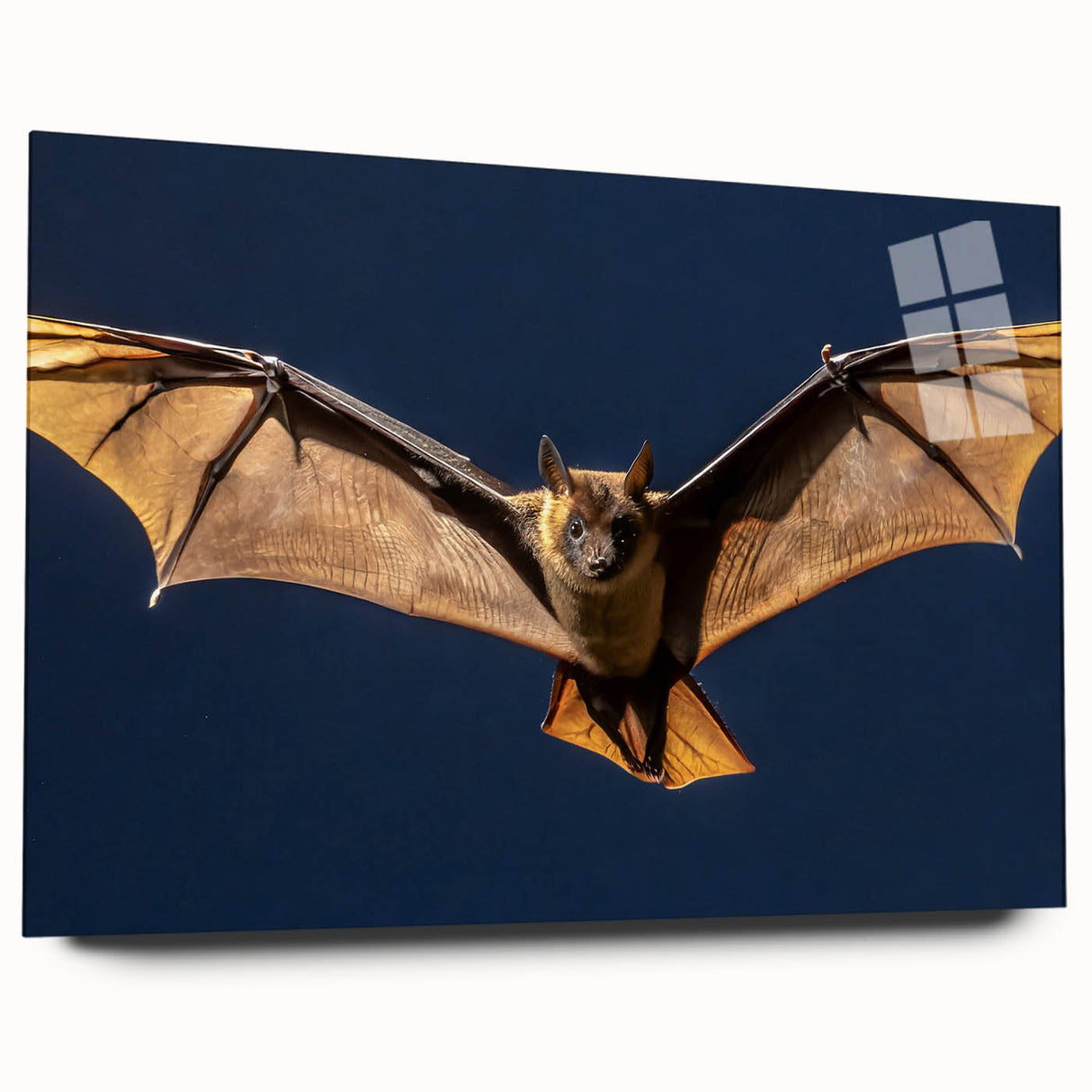 Clear acrylic glass side view showcasing its sleek design without pins, ideal for modern decor and picture framing, highlighting its crystal-clear finish and edge clarity.
