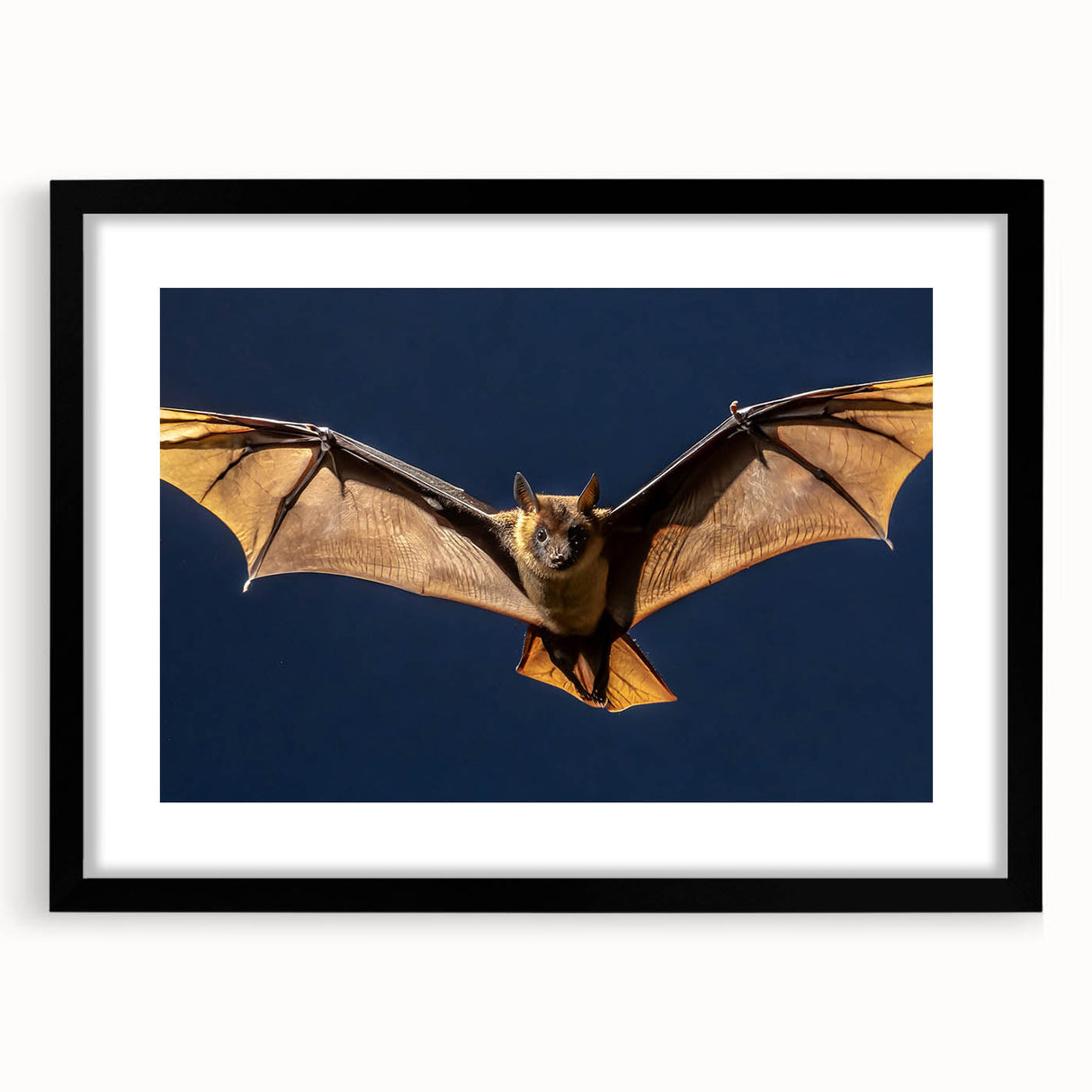 Black frame with a white mat showcasing a vibrant abstract artwork, positioned against a light wooden background, ideal for modern home decor and art enthusiasts.