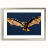 Silver frame with a mat, showcasing a classic art piece from a front view, perfect for enhancing home decor or gallery displays, emphasizing elegance and sophistication.