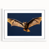 White picture frame with a mat, showcasing a blank space for artwork or photographs, viewed from the front against a neutral background, ideal for home decor or gallery displays.