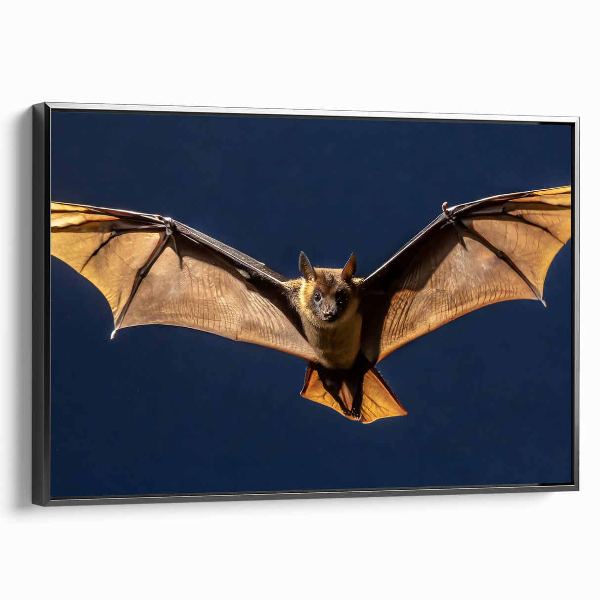 Framed black canvas wall art showcasing a vibrant abstract design, ideal for modern home décor. Perfect for adding a stylish touch to living spaces.