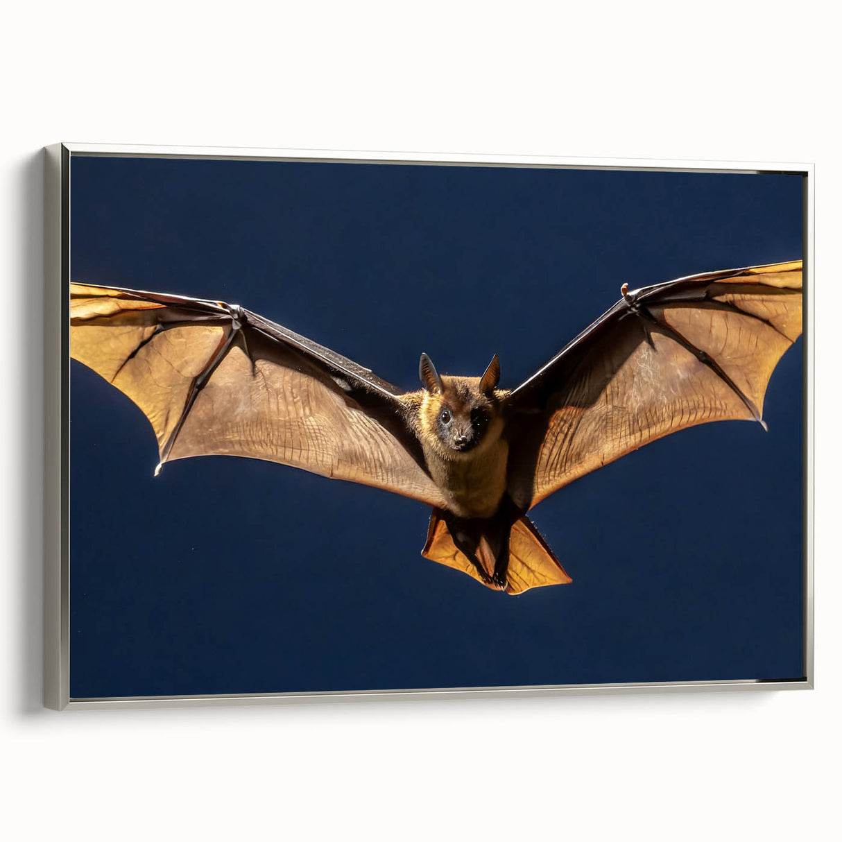 Framed canvas print showcasing a vibrant abstract design with silver accents, viewed from the side, perfect for modern home décor and art enthusiasts.