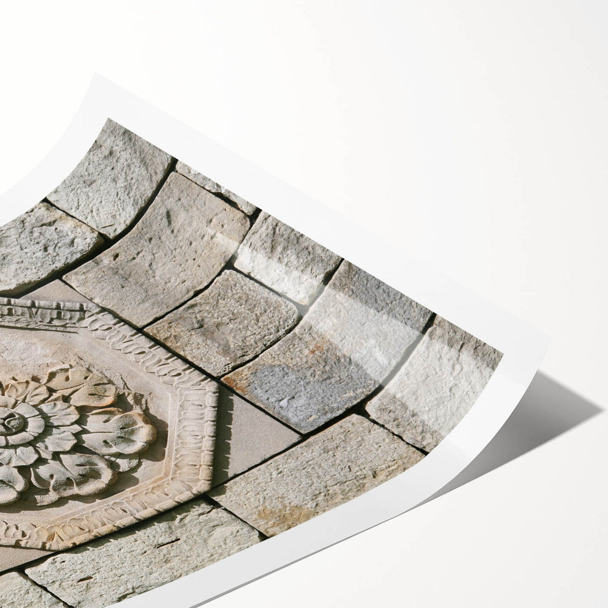 Extra large wall art featuring line art flowers in black on a white background, printed on rolled canvas.